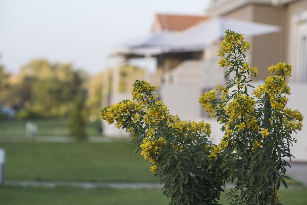 Casa Di Varco Frinion Ngoại thất bức ảnh